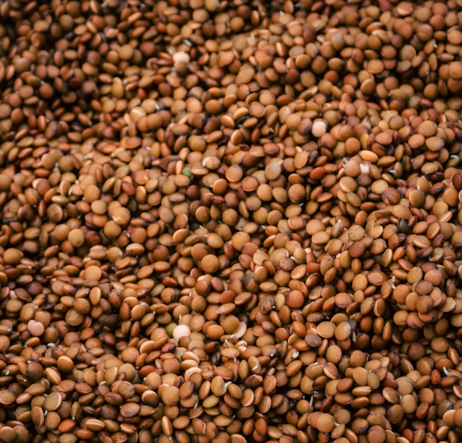 Close-up of whole grains and seeds