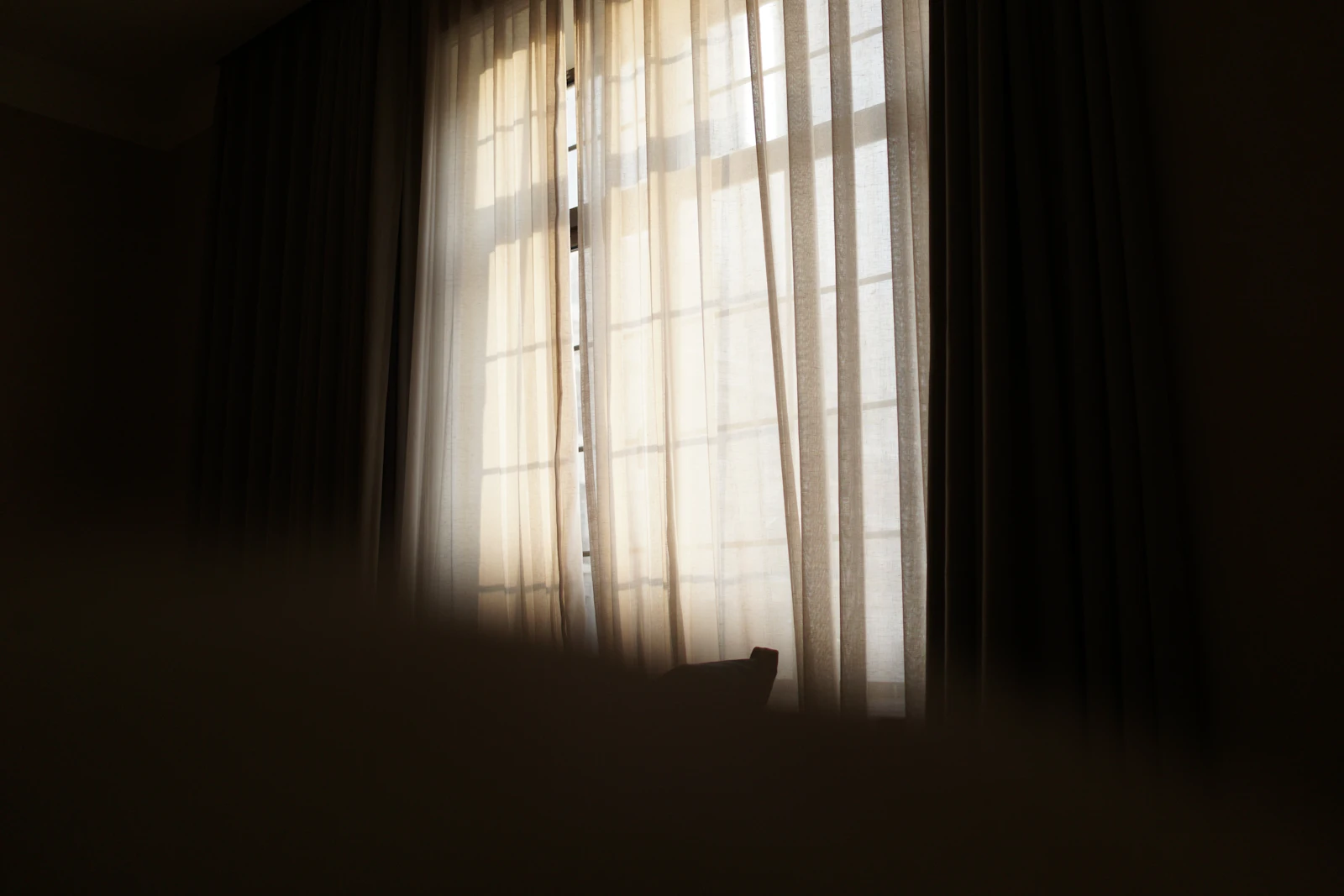 Morning light filtering through sheer curtains in a quiet, calm room